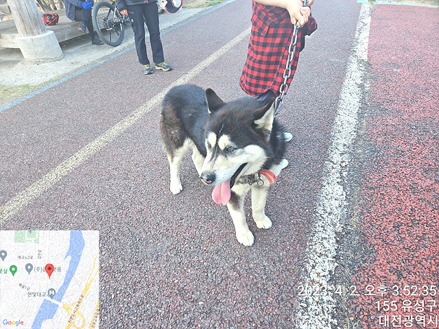 대전동물보호센터_430367202300086